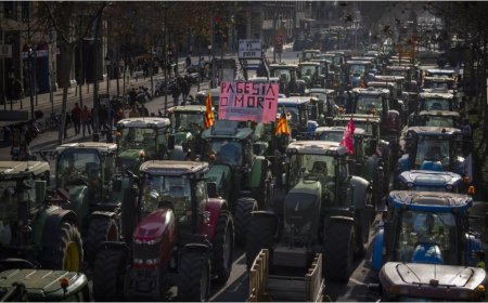 Çiftçiler AB'nin pestisit tavizine rağmen traktörlü protestolarında geri adım atmıyor