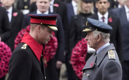 Kral 3. Charles'ın kanser hastalığı Prens William için ne anlama geliyor?