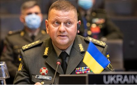 Ukrayna Genelkurmay Başkanı Zaluzhnyi görevden alındı
