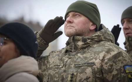 Ukrayna Devlet Başkanı Vladimir Zelenskiy, Genel Kurmay Başkanı Valeriy Zalujnıy'ı görevden aldı