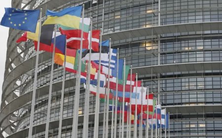 AB ülkeleri tecavüzün tanımı konusunda anlaşamadı