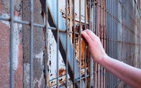 İşkencenin belirlenmesinde raporlar nasıl hazırlanıyor