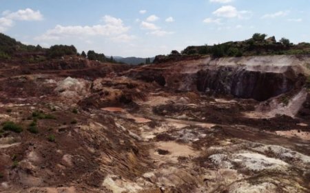 Türkiye'de altın madenciliği: 'Zeytin ve ayçiçeği, eskiden en yoğun olarak görüldüğü yerlerde artık yok'