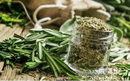 Biberiye çayı nelere iyi gelir