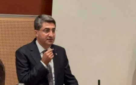 DEVA Partili Ekmen: Sayın Cumhurbaşkanı yargıyı eleştireceğine, bu kararların gereğini yerine getirmelidir