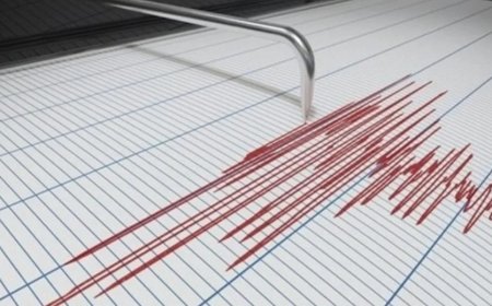 Marmara sallandı | Son depremler