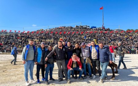 Kınık'ta 34. Geleneksel Deve Güreşleri Heyecanı