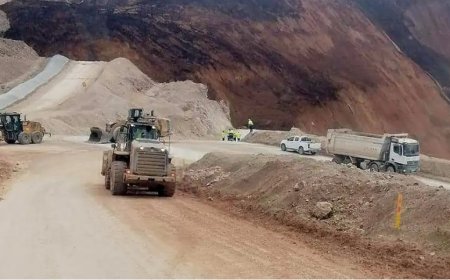 Kanadalı şirketin maden projelerinde Çalık'ın rolü ne?