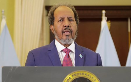 Somali Cumhurbaşkanı Mahmud: Türkiye, 10 yıl denizlerimizi koruyacak