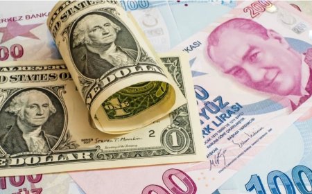 TL’ye geçme vakti geldi(!)