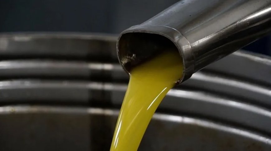 'Memecik zeytinyağı' AB tescili aldı