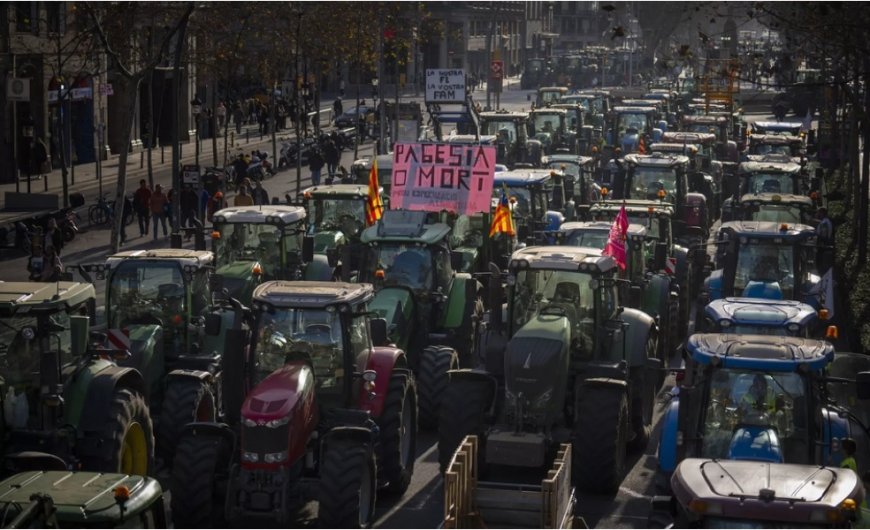Çiftçiler AB'nin pestisit tavizine rağmen traktörlü protestolarında geri adım atmıyor