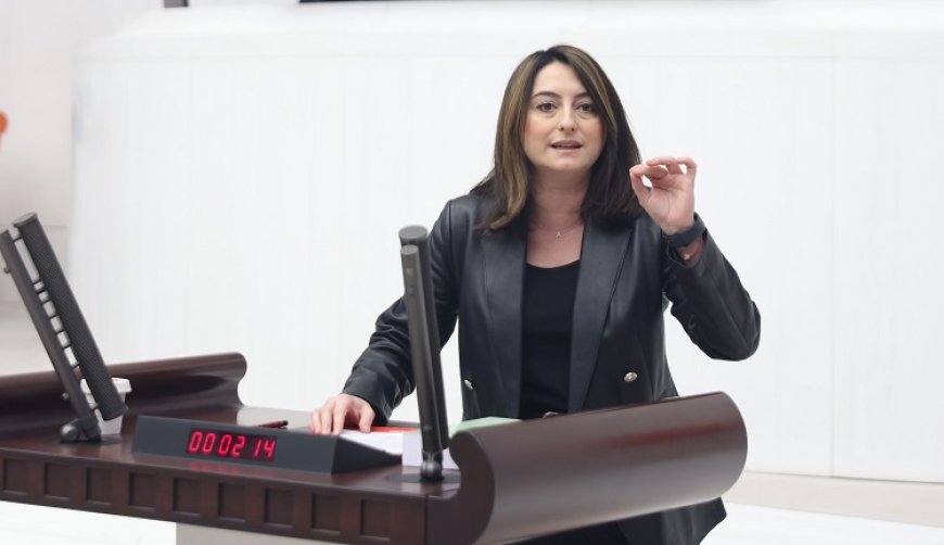 CHP Bartın Milletvekili Aysu Bankoğlu Bartın'a Maden Lisesi istiyor