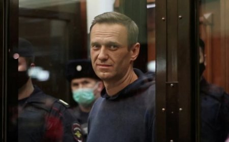 43 ülkeden Navalni için uluslararası soruşturma çağrısı