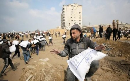 Dünya Gıda Programı: İsrail Ordusu, Gazze'ye gıda yardımı girişimini engelledi