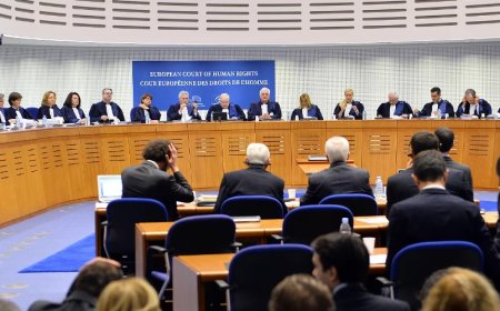 AİHM'in Yalçınkaya Kararı ve Yargıtay'daki Değişim