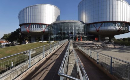 AİHM’de bekleyen 100 davadan 35’i Türk vatandaşlarının başvuruları; Türkiye açık ara zirvede