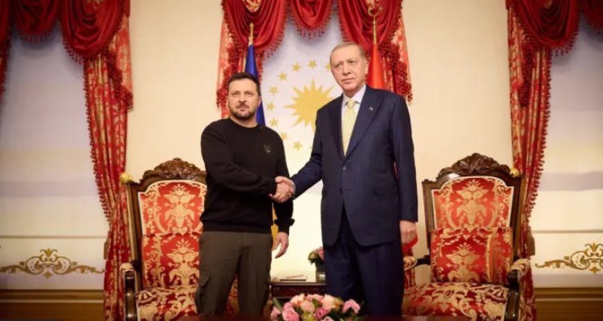 Ukrayna lideri Zelenskiy, Erdoğan ile görüştü