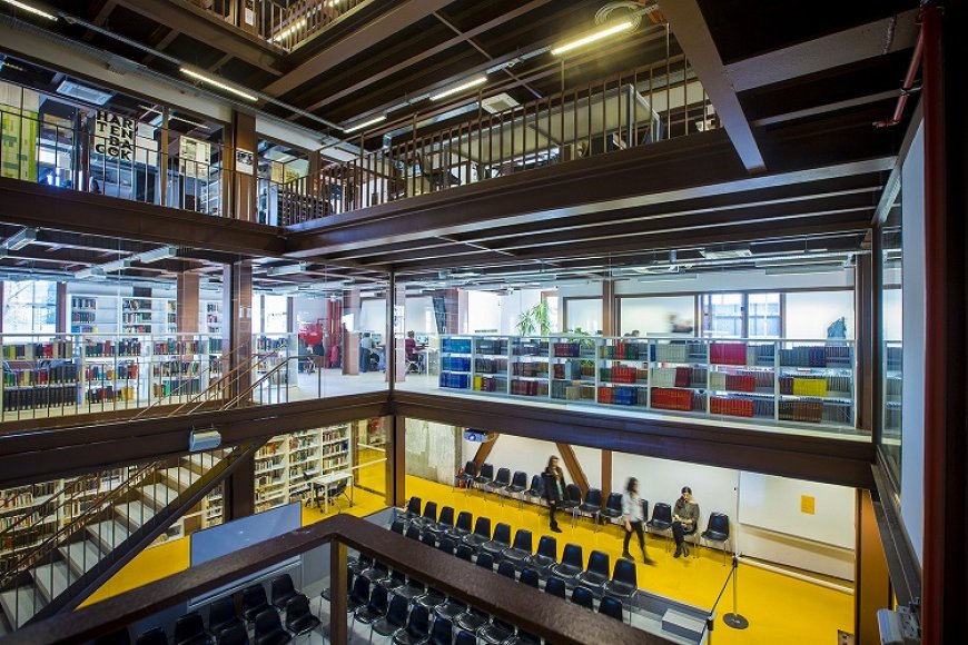 Yapay Zekâ kütüphaneleri Nasıl Değiştiriyor?