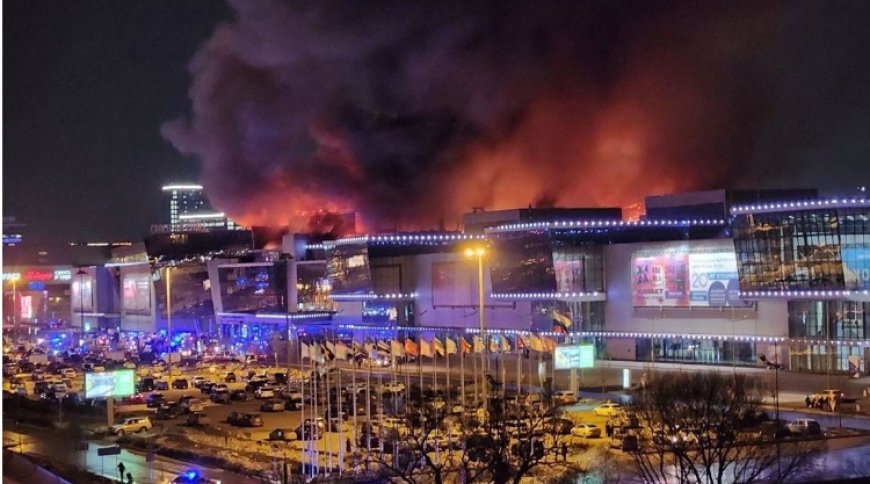 Terör, savaşı şiddetlendirebilir veya uluslararası iş birliğine yol açabilir