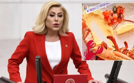 Istakoz açıklaması yapan Bursalı "suçu" CHP’ye attı