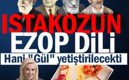 Istakozun Ezop dili...Hani "Gül" yetiştirilecekti