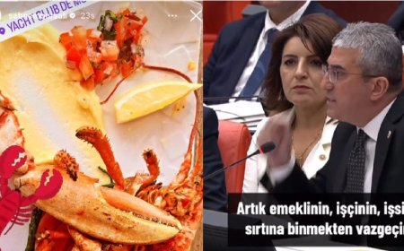 Istakoz Meclis gündeminde