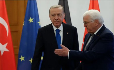 Steinmeier'den Türkiye'ye 100. yıl ziyareti