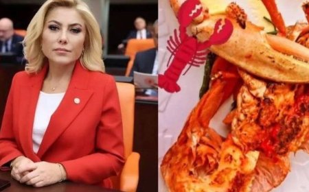 Istakoz, Maldivler, pahalı saat muhalefeti AKP'nin AK'lanmasına yeter mi?