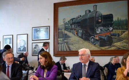 Alman basını Steinmeier'in Türkiye gezisini nasıl yorumladı?