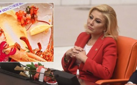 Monacolu ıstakoz kaza mı, Ak Parti ve Başkan Erdoğan'a suikast mi?