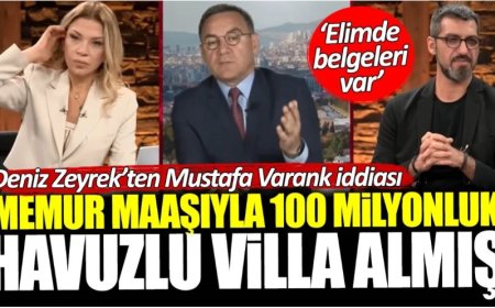 Deniz Zeyrek'ten Mustafa Varank iddiası: Memur maaşıyla 100 milyonluk havuzlu villa almış