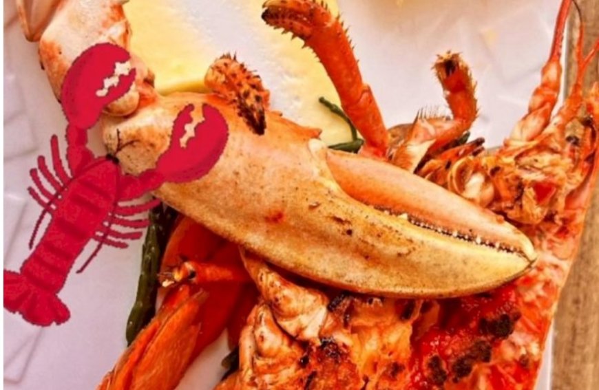 İstakoz'dan Ak Parti'den kaçın mesajı!