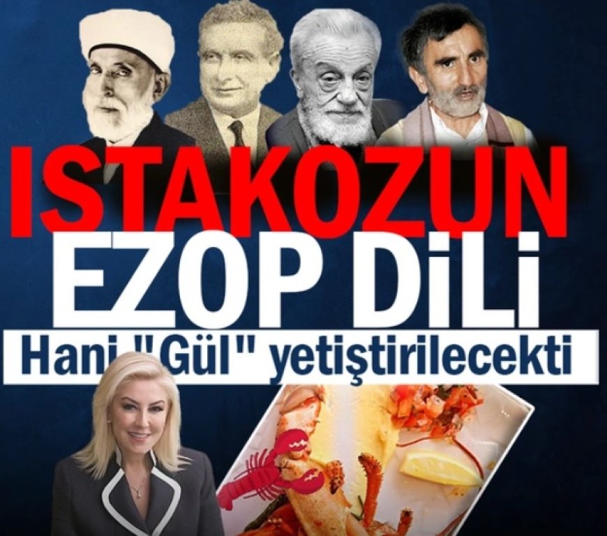 Istakozun Ezop dili...Hani "Gül" yetiştirilecekti