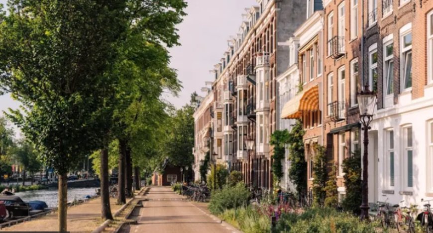 Hollanda özel sektördeki ev kiralarına sınırlama getiriyor