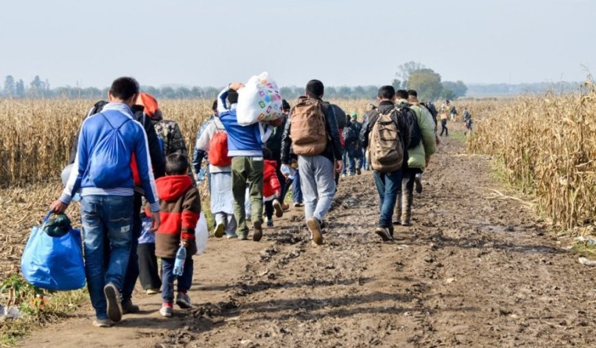 Usulsüzlük iddiaları Avrupa Sayıştayı'nın raporunda