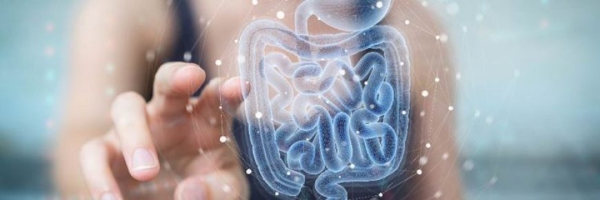 Ezgi Nevçehan’dan bağırsak parazitlerine karşı evde uygulanabilecek doğal çözümler.