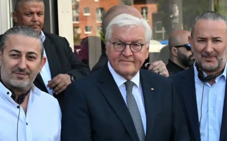 Steinmeier'den siyasi şiddeti dışlama çağrısı