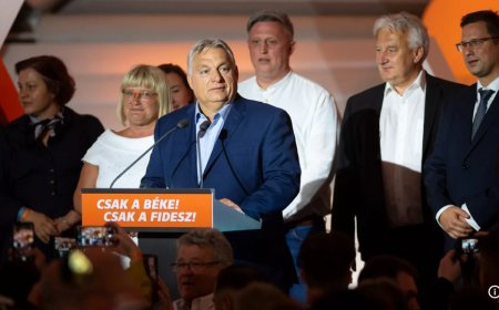 Macaristan Başbakanı Orban'ın partisi AB seçimlerini kazandı ancak büyük destek kaybetti
