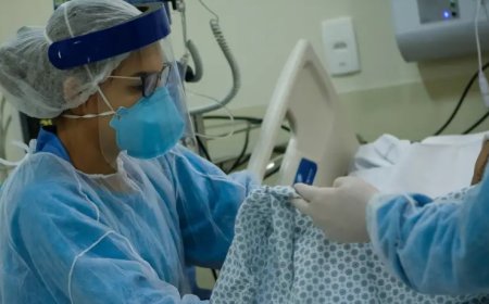 Brezilya'da dang humması binlerce ölüme yol açtı