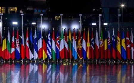 NATO'nun misyonu ne, üye ülkeler bütçelerinin ne kadarını savunmaya harcıyor?