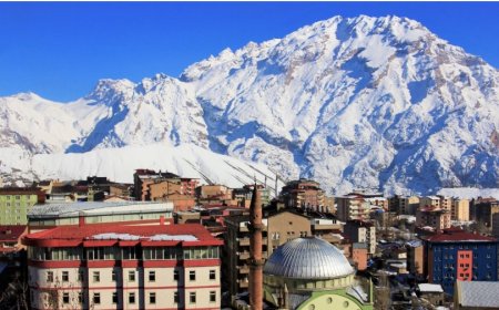 Hakkari’nin Sevilen ve Güvenilen Liderleri: Anketmatik.net ile Gerçek Gündem Ortaya Çıkıyor