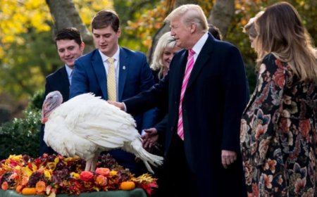 Trump’s Thanksgiving Message: A Nation on the Path to Greatness
