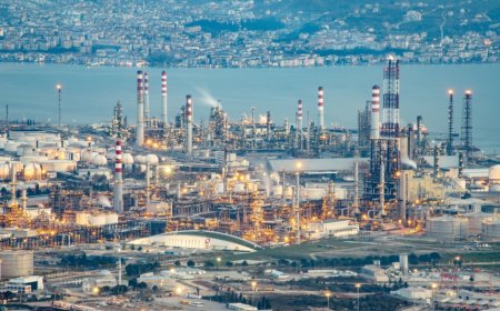 Kocaeli’nin Sevilen ve Güvenilen Liderleri: Halkın Güveniyle Öne Çıkan İsimler