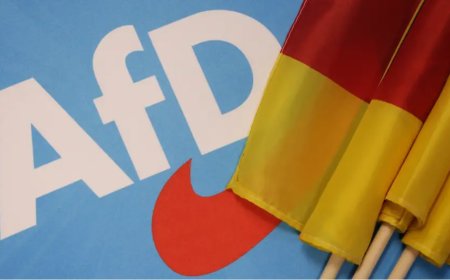 AfD'nin Dexit Vaadi: Almanya ve AB İçin Ne Anlama Geliyor?