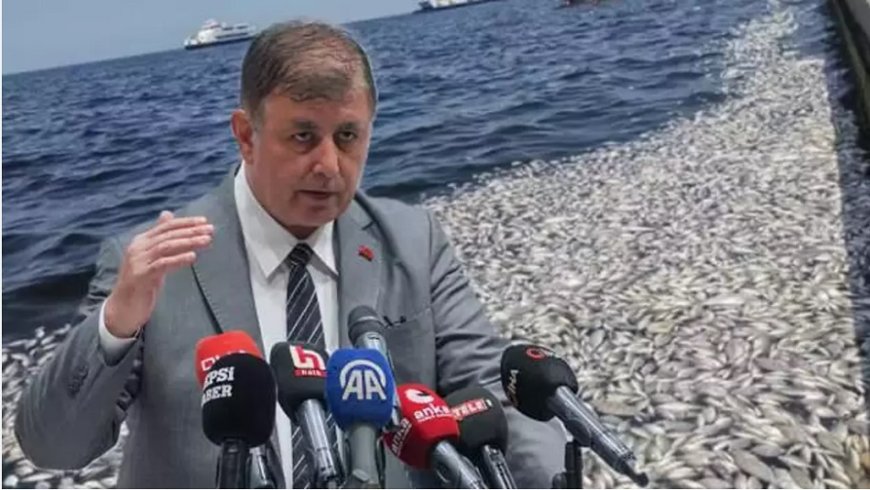 İzmir Büyükşehir’in Çılgın Projesi: Gerçekçi Plan mı, Hayal mi?