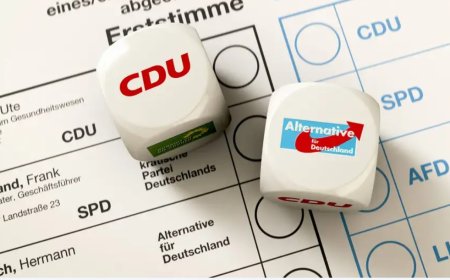 Almanya Türk Toplumu'ndan Oy Kullanma Kampanyası