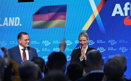 Almanya’da Türkler Seçim Sonuçları ve AfD’nin Yükselişi Hakkında Ne Düşünüyor?