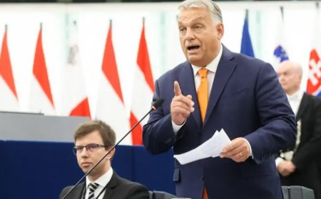 Macaristan’da Fon Alan Medyaya Yönelik Yeni Düzenleme Yolda