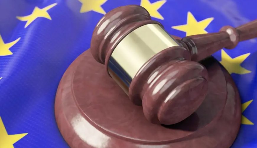 AİHM'de 2025 Yılı Ankara İçin Kritik Olacak